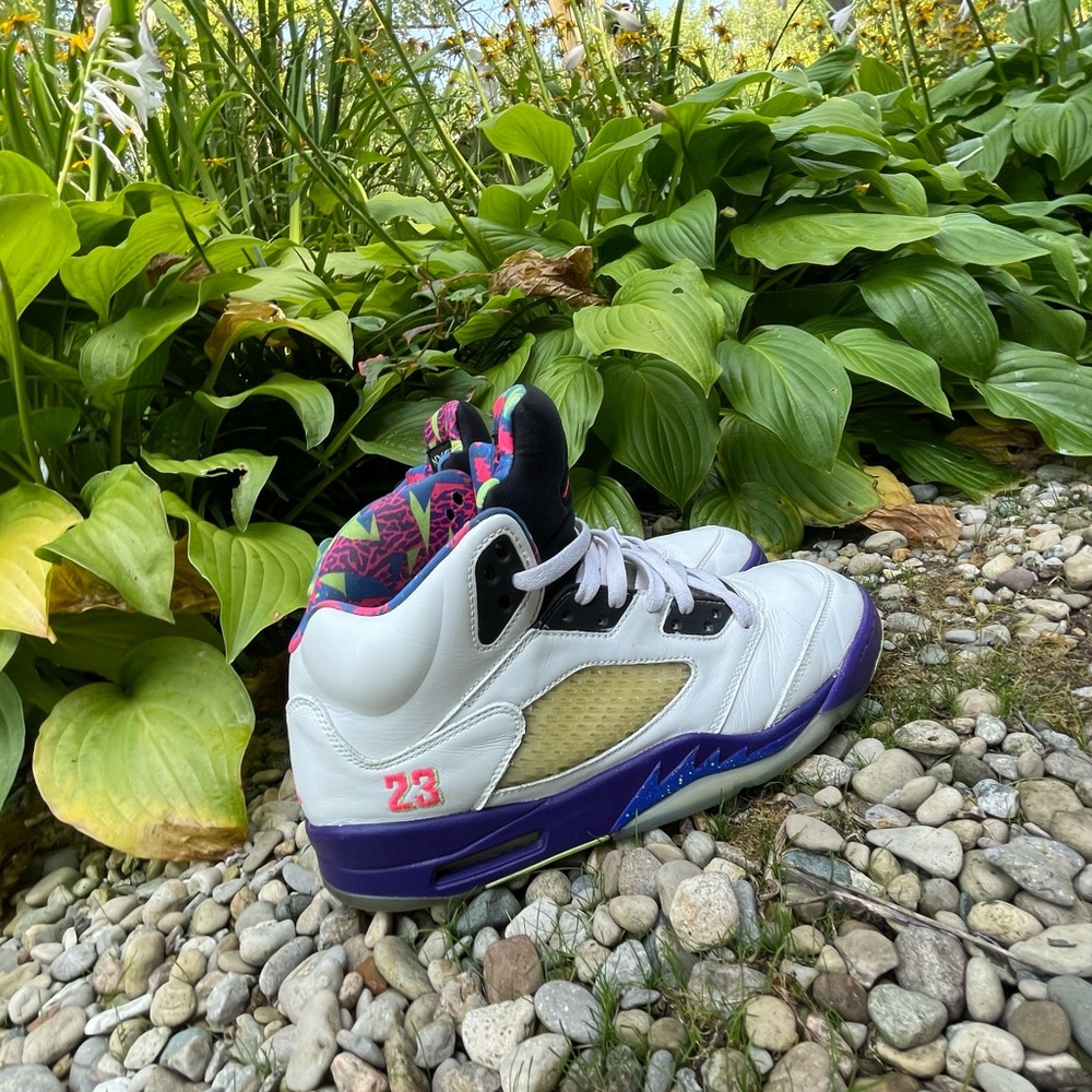 Jordan 5 fresh prince